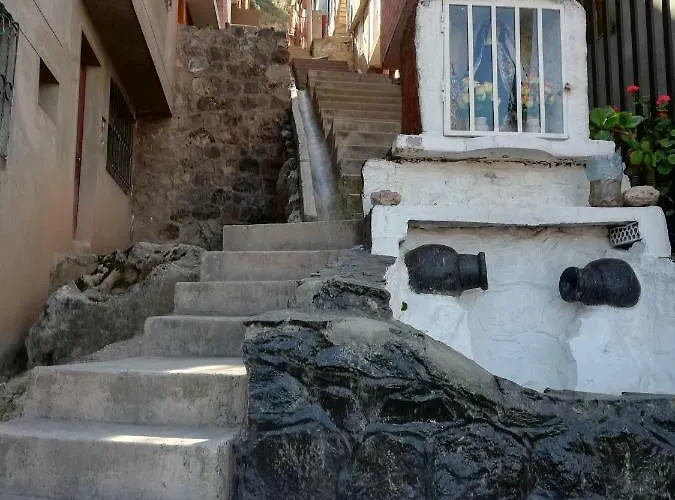 Casa De Pajaros
