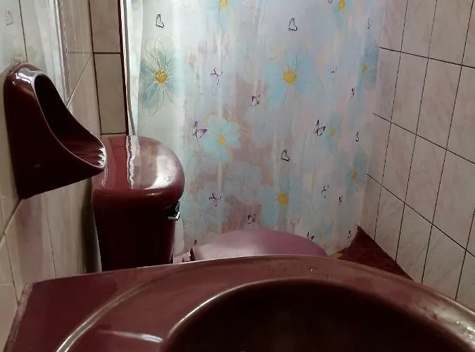 Casa De Pajaros *